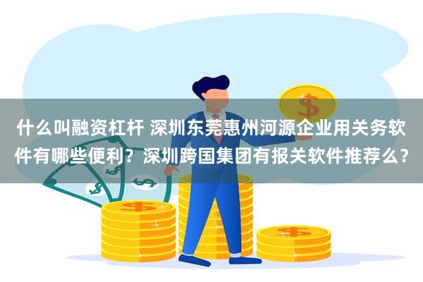 什么叫融资杠杆 深圳东莞惠州河源企业用关务软件有哪些便利？深圳跨国集团有报关软件推荐么？