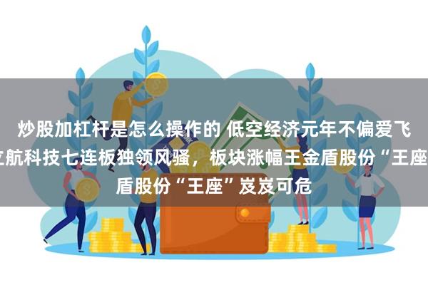 炒股加杠杆是怎么操作的 低空经济元年不偏爱飞行汽车？立航科技七连板独领风骚，板块涨幅王金盾股份“王座”岌岌可危