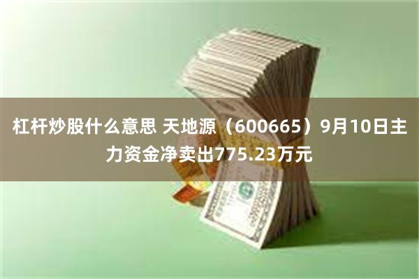 杠杆炒股什么意思 天地源（600665）9月10日主力资金净卖出775.23万元