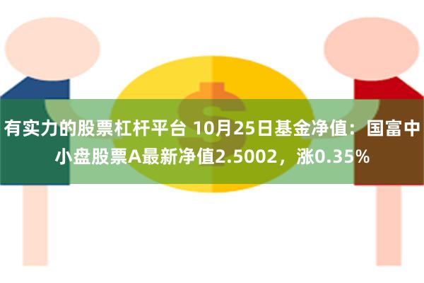 有实力的股票杠杆平台 10月25日基金净值：国富中小盘股票A最新净值2.5002，涨0.35%